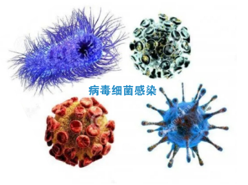 血清淀粉样蛋白A